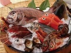 Consumo di pesce crudo o parzialmente cotto, informazioni obbligatorie nei luoghi di vendita